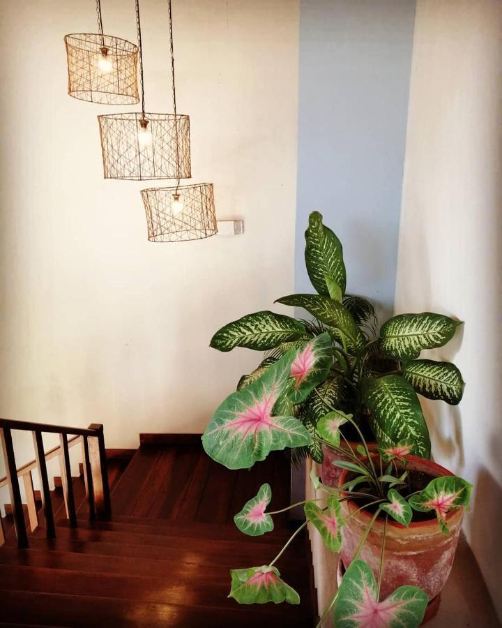 Hotel Con Corazon Granada  Kültér fotó